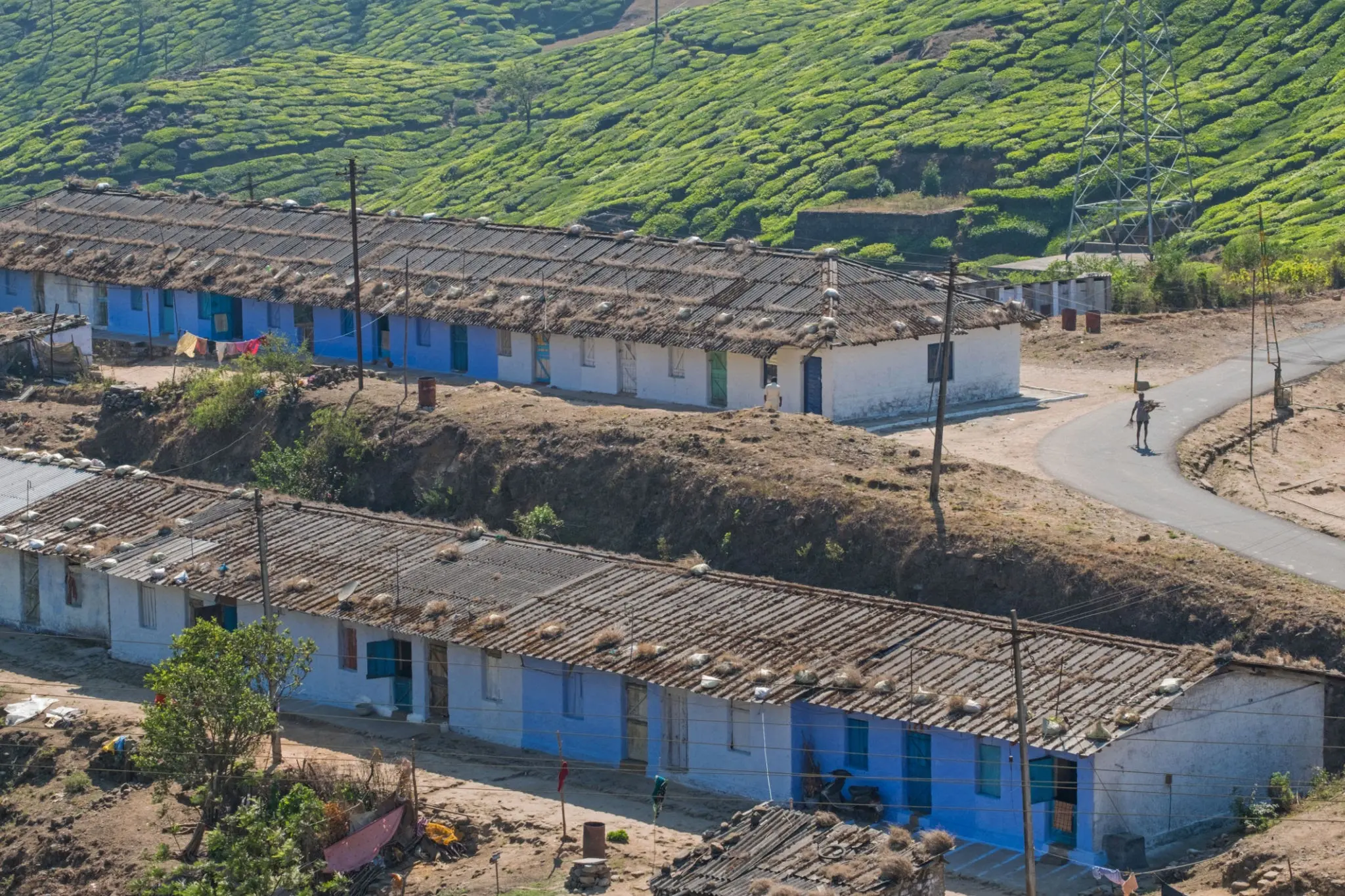 Line rooms — logements ouvriers sur une plantation de thé au Sri Lanka